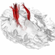 Illustration for article titled Primates have a hidden ability to repair their own damaged spines